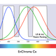 Illustration for article titled Can These Glasses Help the Colorblind? We Put EnChroma to the Test